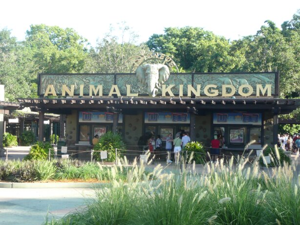 Disney's Animal Kingdom Reviews, Rides & Guide