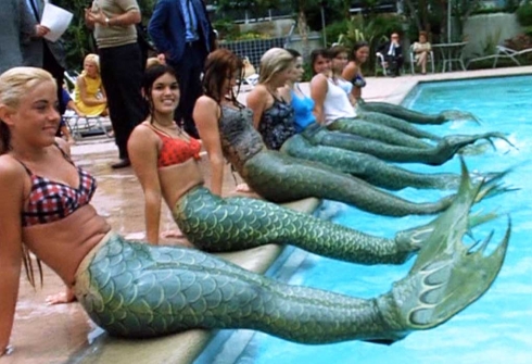 Sunbathing mermaids