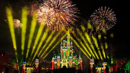 Disney's Magic Kingdom Festive, Disney
