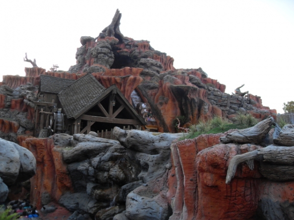 Taking selfies on Splash Mountain can be bad for your camera