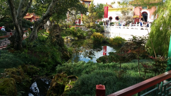 Garden at China Pavilion, Epcot