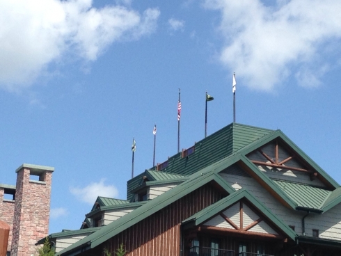 Wilderness Lodge Flags