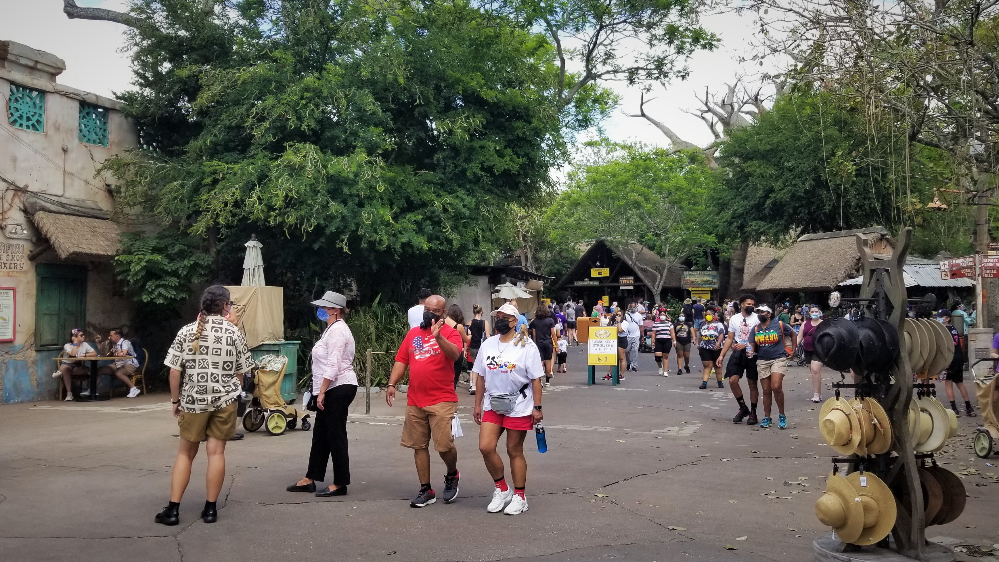 What to Expect RIGHT NOW at Disney's Animal Kingdom at Full Capacity (Crowds,  Lines, and Attractions Update!)