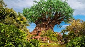 The 10 Things You NEED To Know Before Visiting Disney's Animal Kingdom