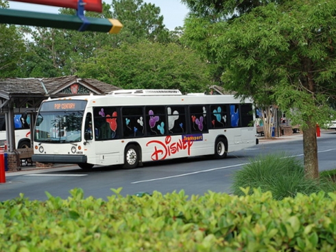 Disney Bus