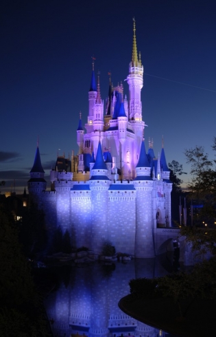 Cinderella Castle moat