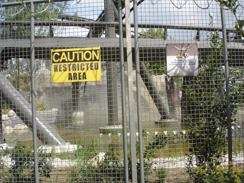 Raptor perimeter fence