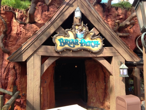 Briar Patch Store
