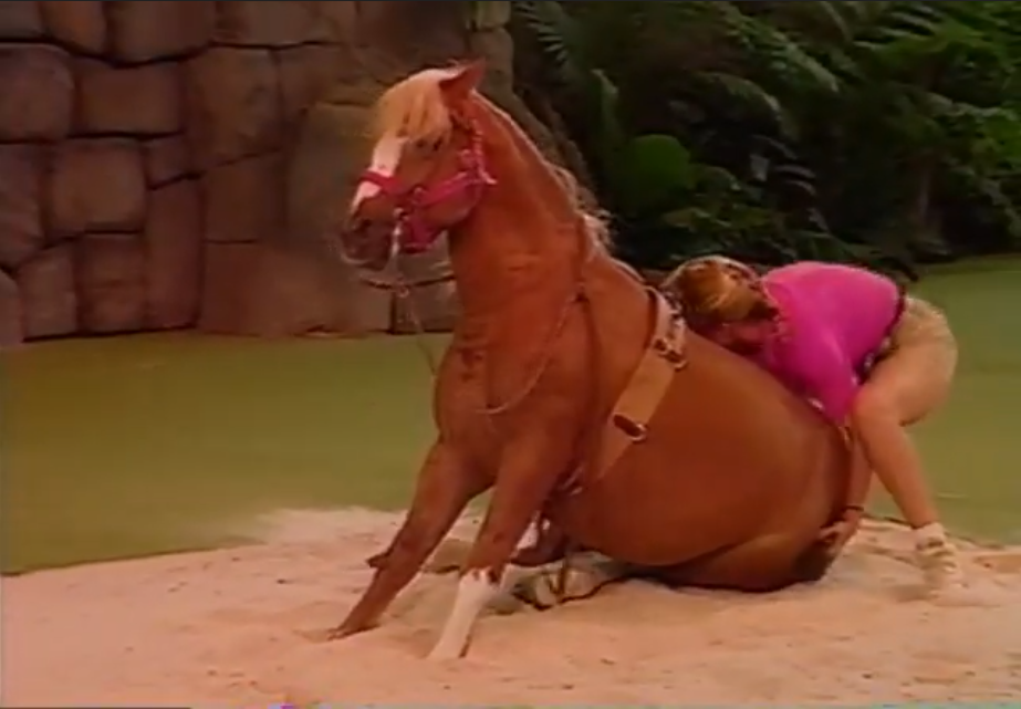 a horse refusing to stand during Animal Actors