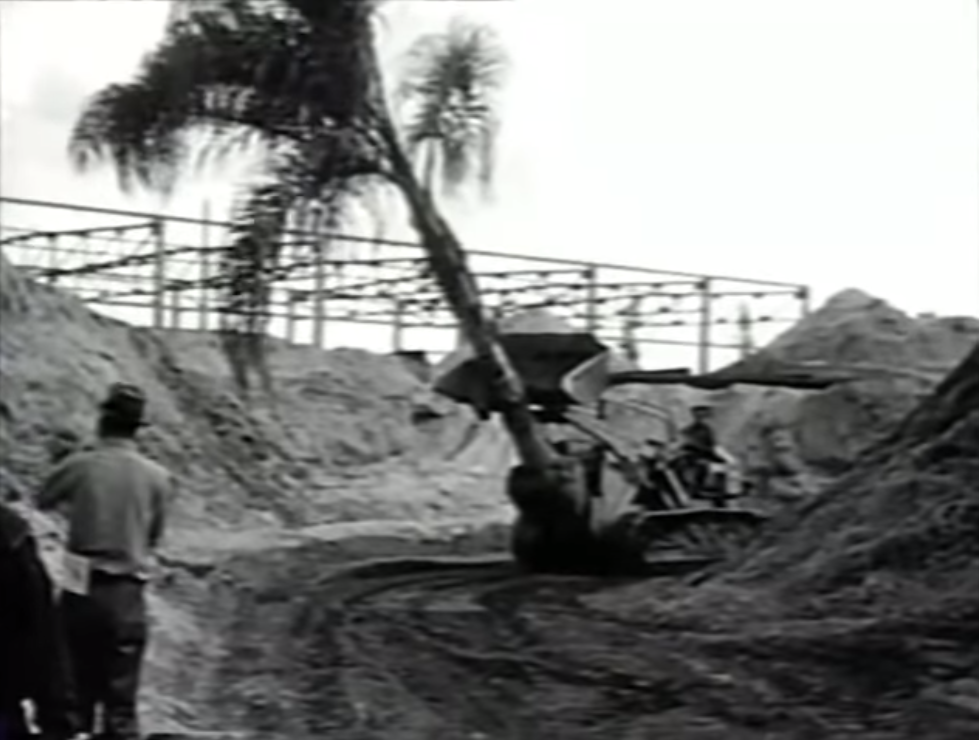 Workers planting trees for the Jungle Cruise