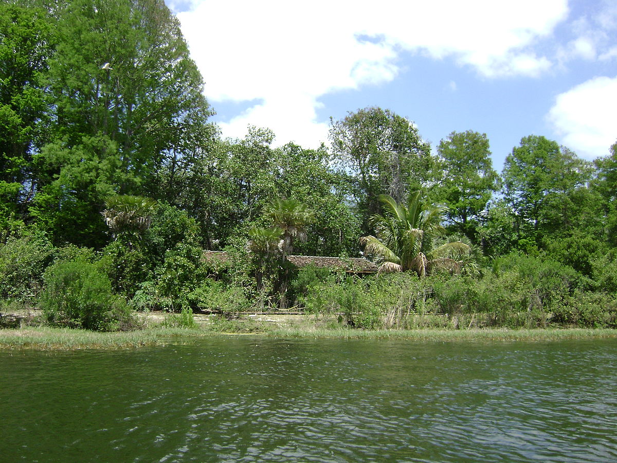 image of a building overtaken by nature on the abandoned Discovery Island