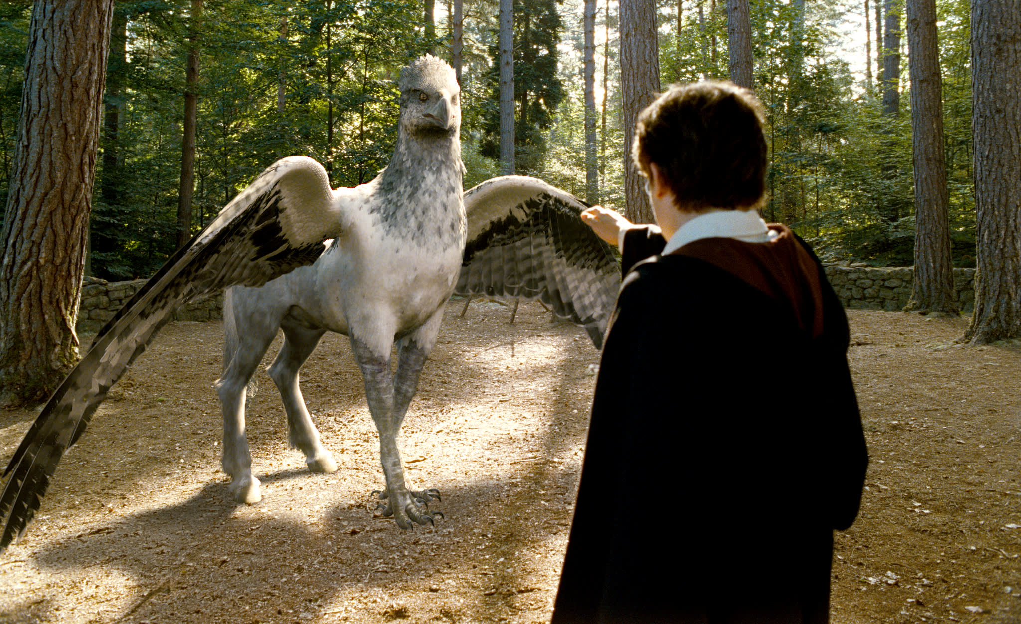 Buckbeak the Hippogriff in Harry Potter 