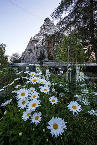 Matterhorn Bobsleds, Disneyland
