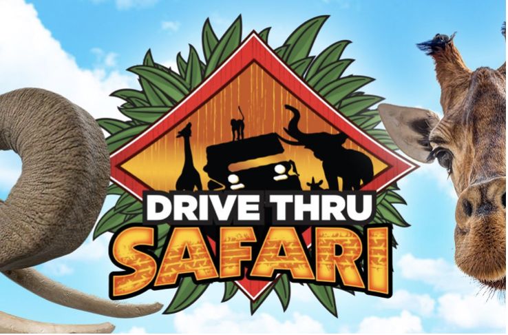 Wild Safari promotional image