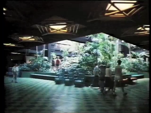 Polynesian Lobby - VHS