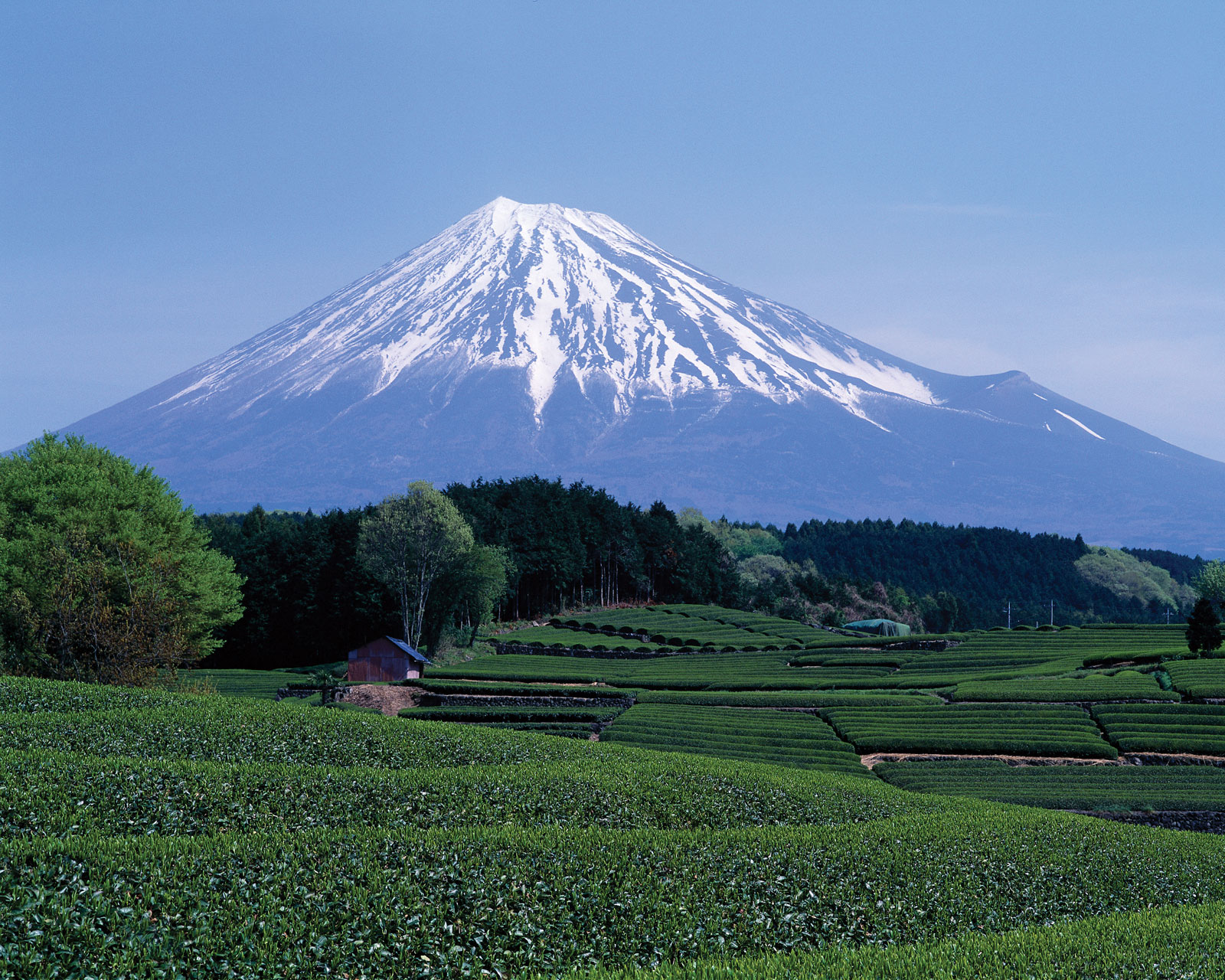 Shot of Mount Fuji