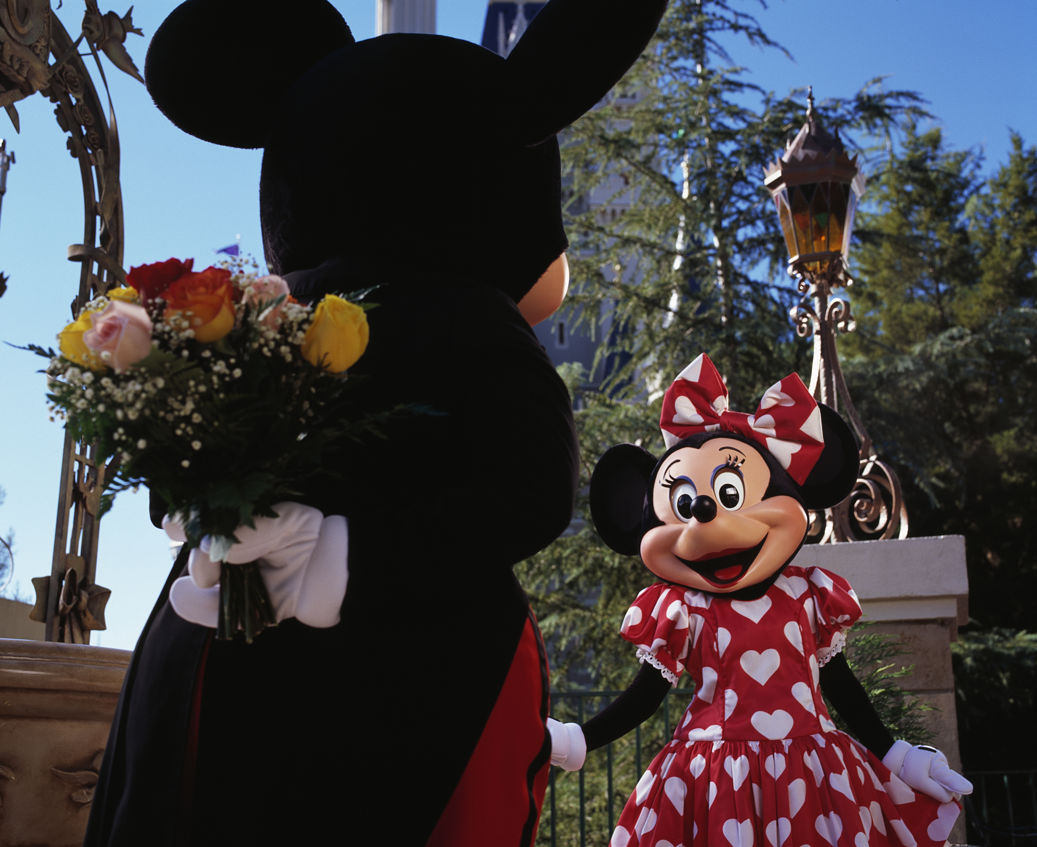 Mickey hiding flowers to give to Minnie