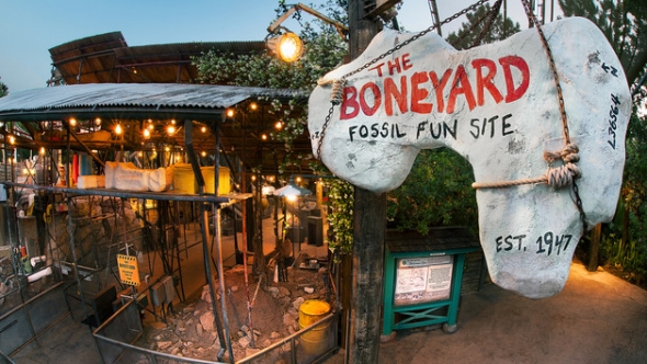 Boneyard at Disney's Animal Kingdom
