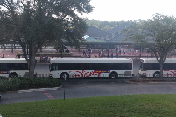 Disney buses