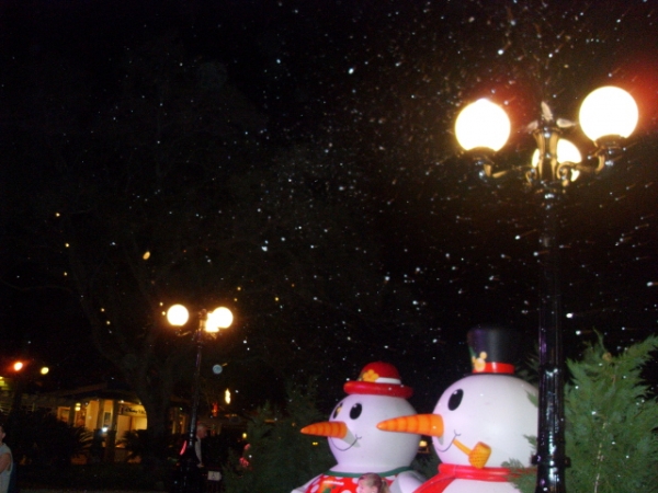 Downtown Disney Snow