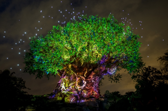 The Tree of Life lit up colorfully at night