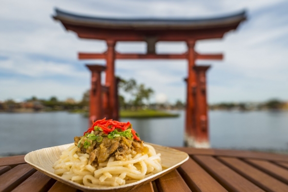 Plate of noodles in front of Japan arch in World Showcase