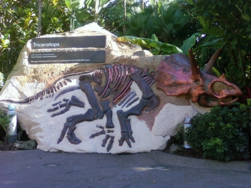 Triceratops Encounter
