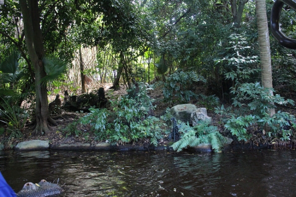 Jungle Cruise's notoriously dangerous water
