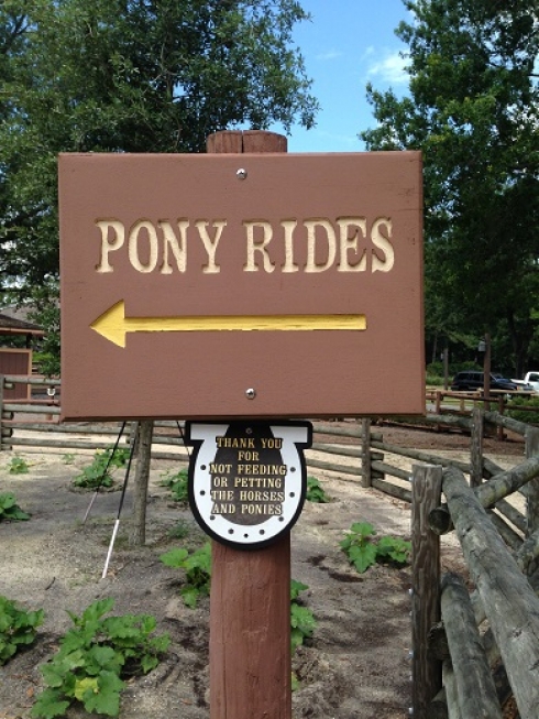 Pony Rides at Fort Wilderness