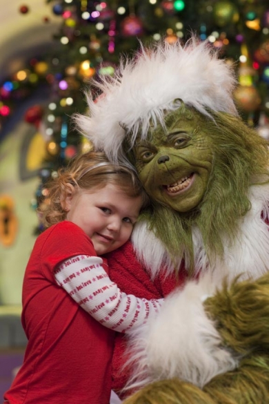 The Grinch at Christmas