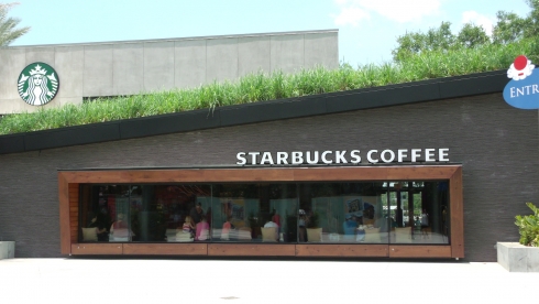Starbucks at Downtown Disney
