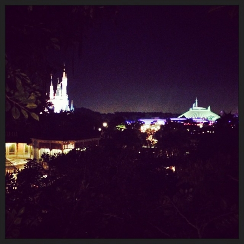 View from the Swiss Family Treehouse