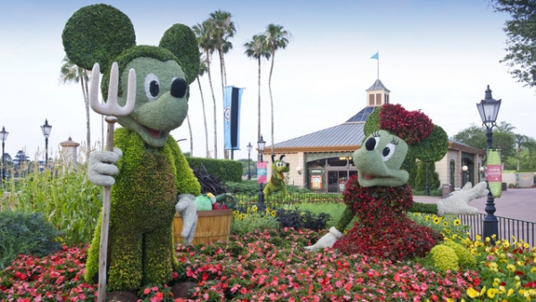 Mickey and Minnie topiaries
