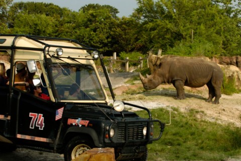 Busch Gardens Tampa Confirms Closure Of Rhino Rally Water Section