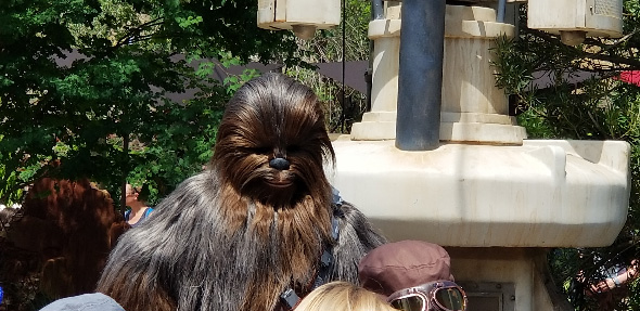 Chewbacca watches as mechanic recruits from crowd