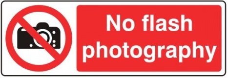 No flash photography